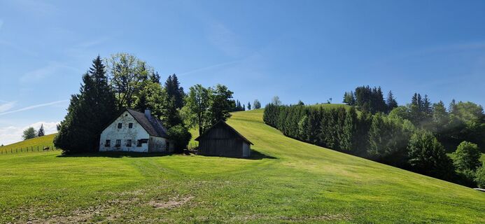 Photo de Franz Motycka le long du parcours