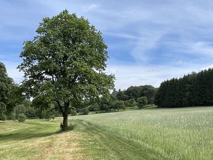Foto von Patrik Trosdorff entlang der Tour