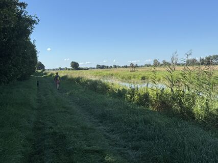 Photo de Alexander Zuber le long du parcours
