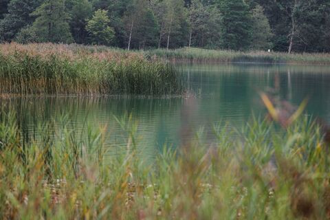 thiersee-16.jpg
