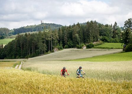 Granittrail, Ruine Arbesbach