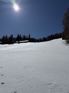 Photo de Schabsi le long du parcours