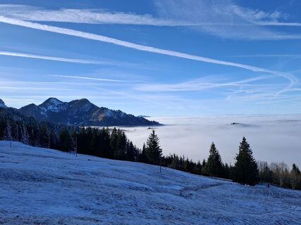 Foto von Maurer Silvia entlang der Tour