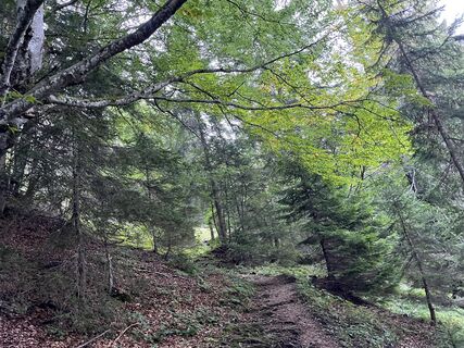 Foto da Csuti46 lungo il tour