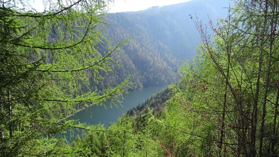 Salza-Stausee - Steinwald