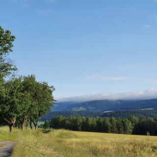 Kirschbaumchaussee nach Korberoth mit Schiefergebirge