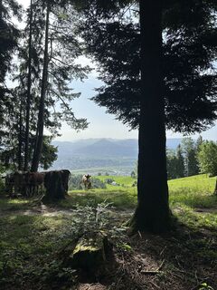 Fotografie z Cyrill Bischof na trase