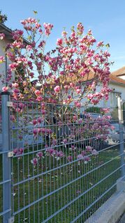 Фото с сайта Erwin Teufner во время экскурсии