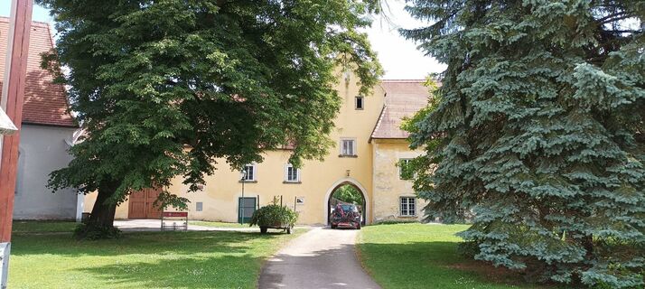 Fotografia z Georg Peneder na trase