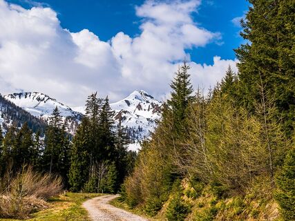 bruckerberg-runde_img_79068024