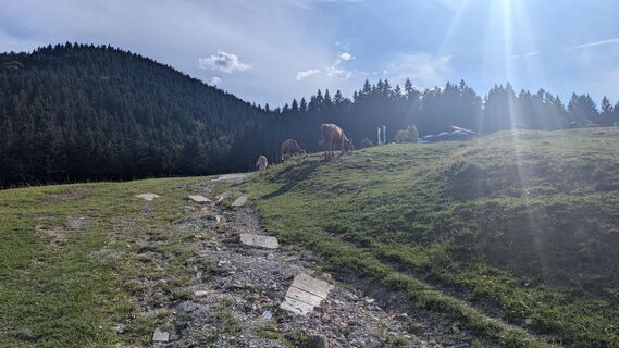 Foto von Thomas Heß entlang der Tour