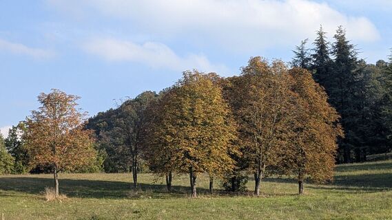 Fotografija s spletne strani AleMiao na poti