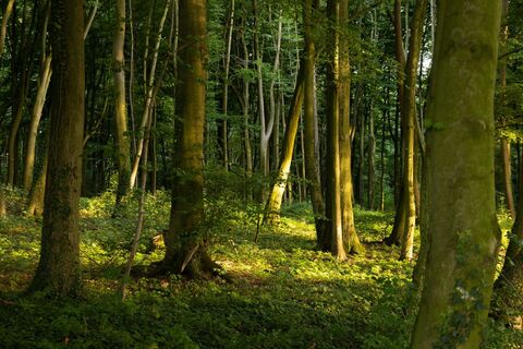 nottuln-stevertal-01