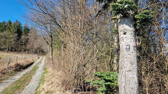 Wanderweg am Vogelsang Meschede