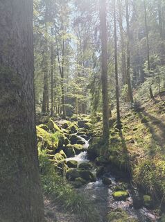 Photo de Michel Kennel le long du parcours