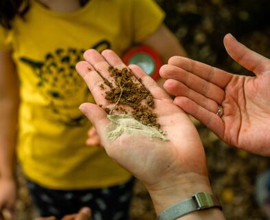 Gesteinsunterschiede