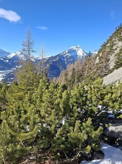 Photo de gottie le long du parcours