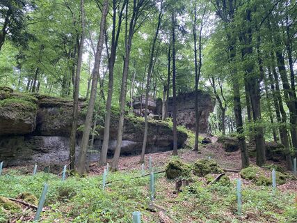 Foto von Annette Worsch entlang der Tour
