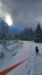 Foto von soeren Rennemann entlang der Tour