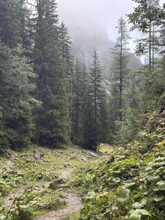 Foto von Laurenzunger entlang der Tour