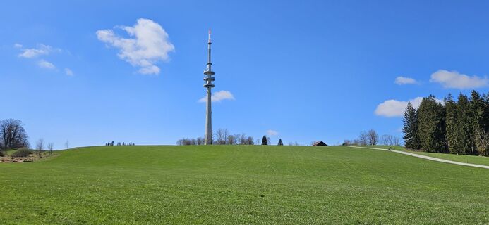 Photo from garrincha along the tour