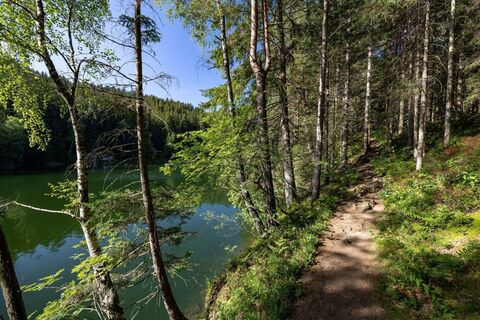 Rund um den Hirzmannstausee