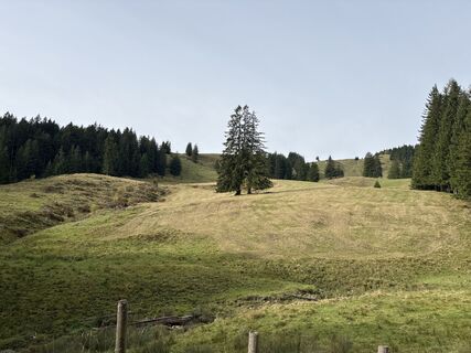 Photo de Heinz Sperl le long du parcours