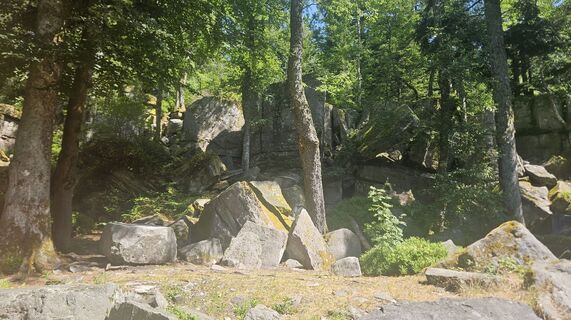 Foto von Klaus Reinhold entlang der Tour