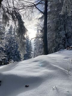Fotografia z Sven Krieblin na trase