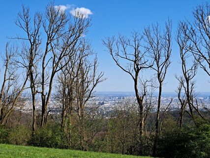 Foto von Karin F. entlang der Tour