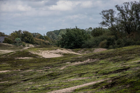 Naturschutzgebiet Wisseler Dünen