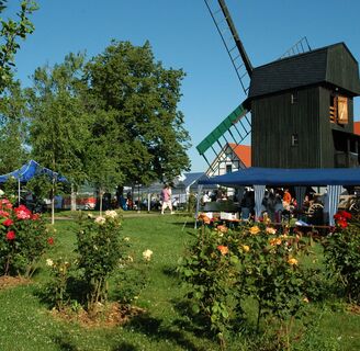 Fahner Mühle zum Mühlentag