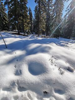 Fotografija s spletne strani v.stein na poti