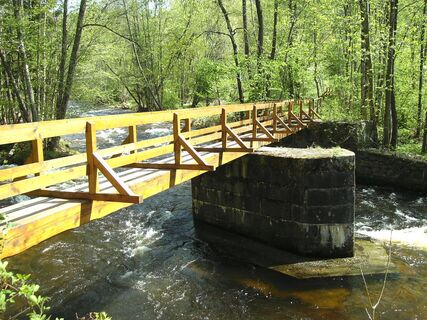 Wildbachklamm Buchberger Leite