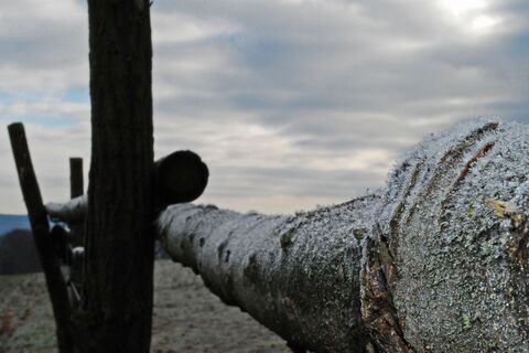 Von der Burg Kreuzenstein zum Michelberg
