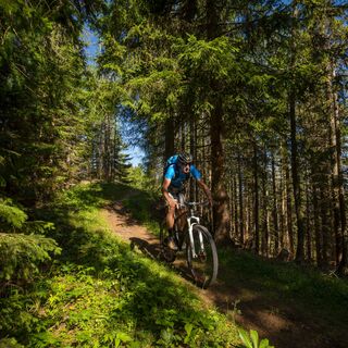 Mountainbiken