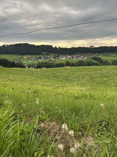 Foto von Cyrill Bischof entlang der Tour