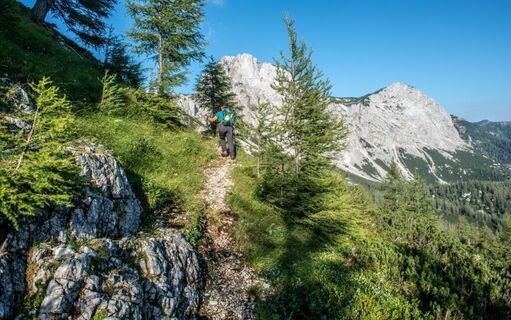 kurz vor dem Schafhalssattel