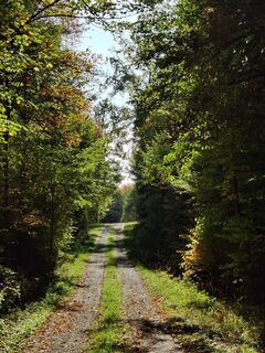Waldbadepfad Assamstadt