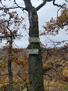 Kuva osoitteesta Arthur Muskalla matkan varrella