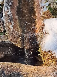 Fotografija s spletne strani Pinzger Petra ♀️?? na poti