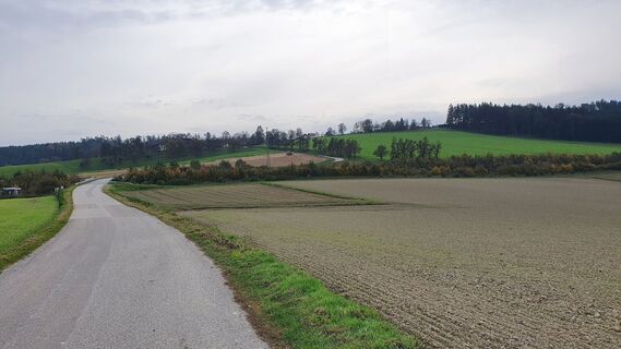 Brücke über die Innkreis-Autobahn