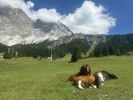 Foto von Sunil entlang der Tour
