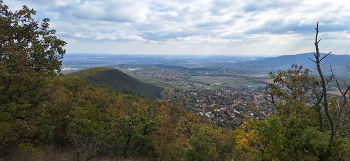 Photo de Gybrilla le long du parcours