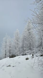 Foto von Stefan Stickler entlang der Tour