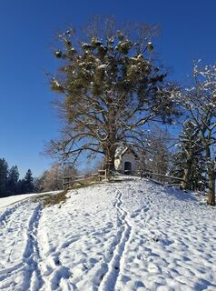 Foto von HJB entlang der Tour
