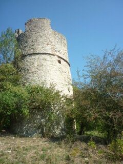 Storchenturm Schöntal