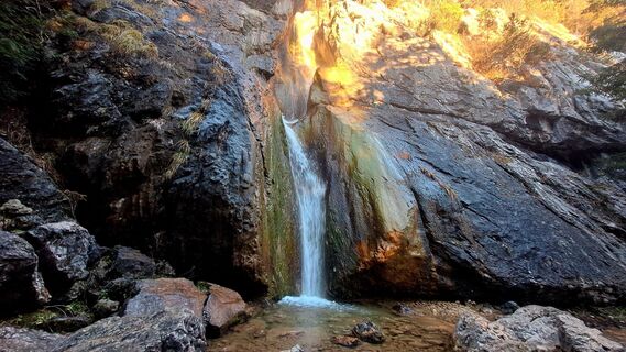 Zdjęcie z Regina Fleischmann wzdłuż trasy