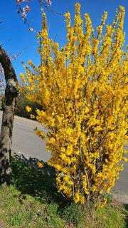 Foto de Hans Werner Ball a lo largo del recorrido