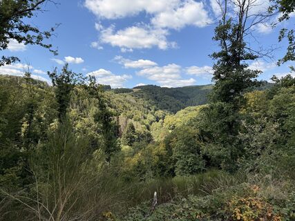 Fotografia z Koen De Wit na trase